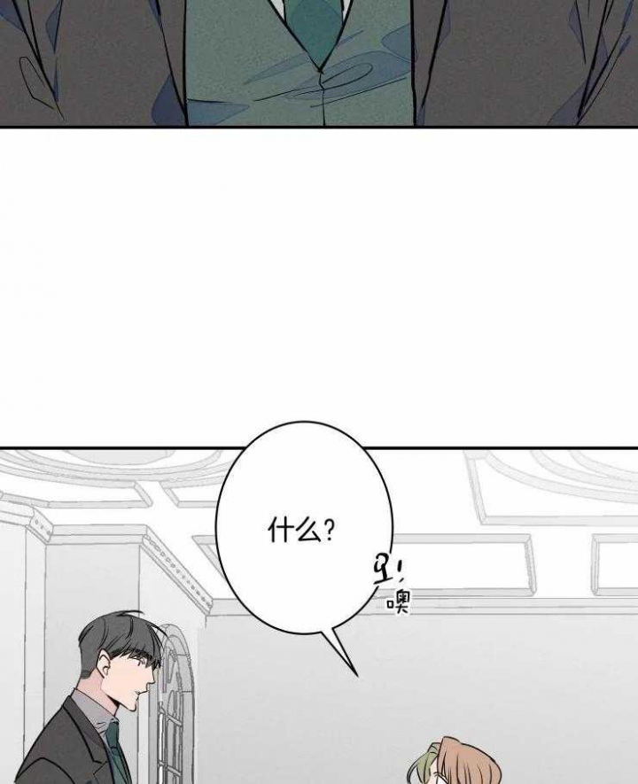 结婚可以不生孩子吗漫画,第74话1图