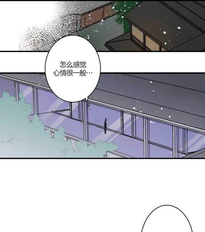 结婚?可以啊!非麻瓜漫画漫画,第50话2图