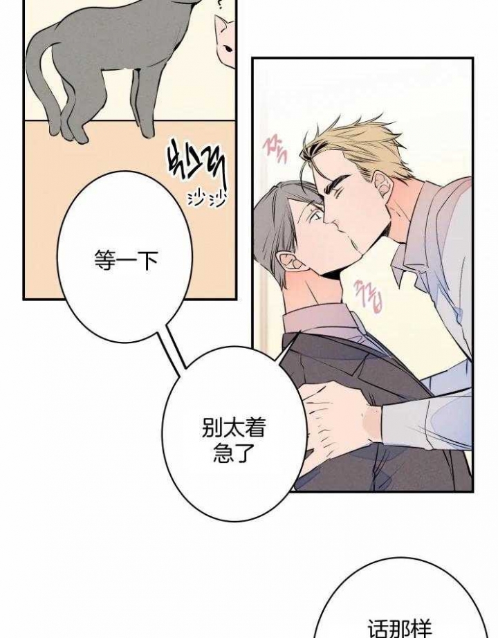 结婚?可以啊!非麻瓜漫画漫画,第64话1图