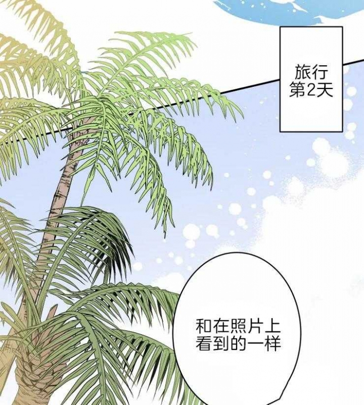 结婚可以穿别人的婚鞋吗漫画,第39话2图