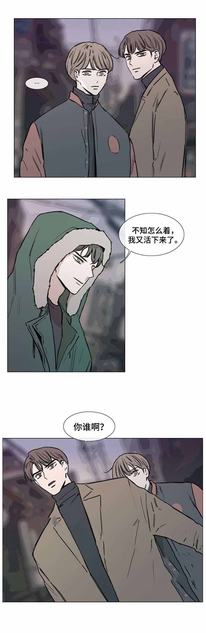 爱情诈骗叫什么漫画,第46话2图