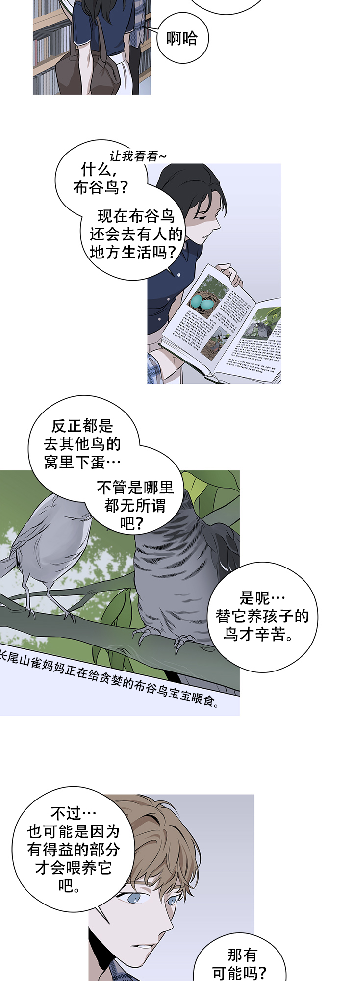 不飞的鸟漫画全集免费漫画,第3话2图