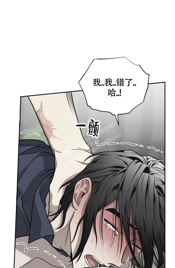 影片动物园漫画,第37话2图