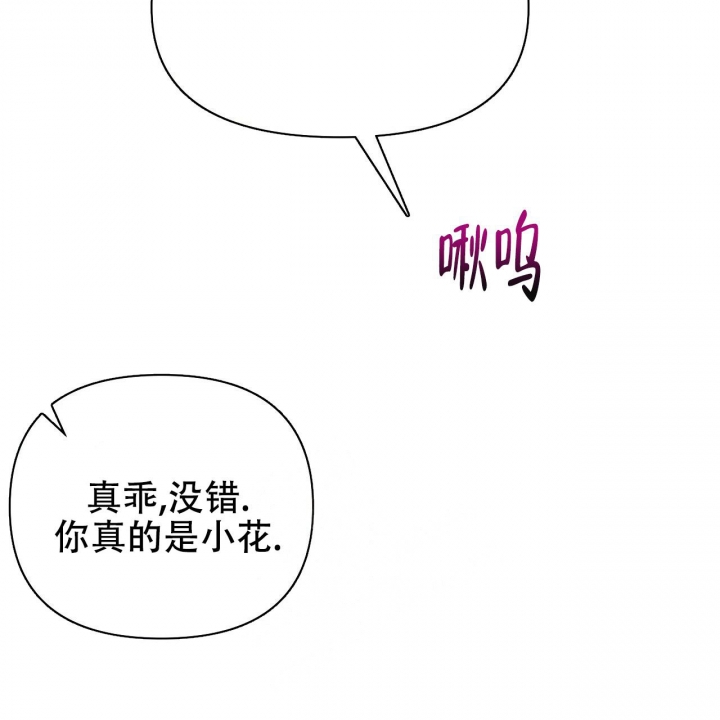 夜叉演化记漫画,第40话1图