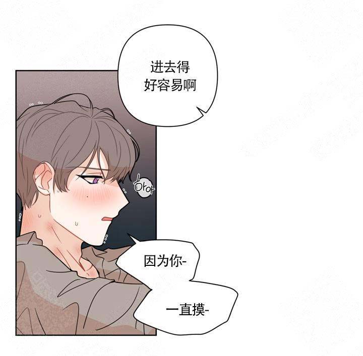 该死的甜美什么梗漫画,第14话2图