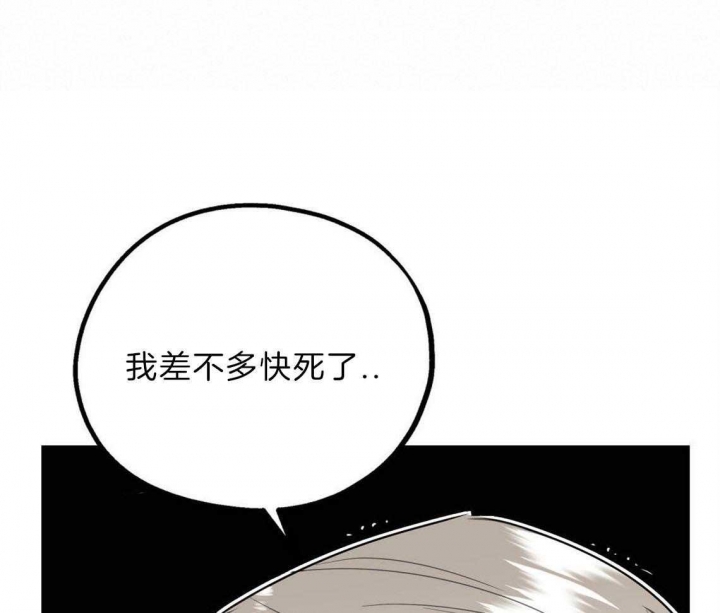 冤家路窄全集完整版漫画,第37话2图