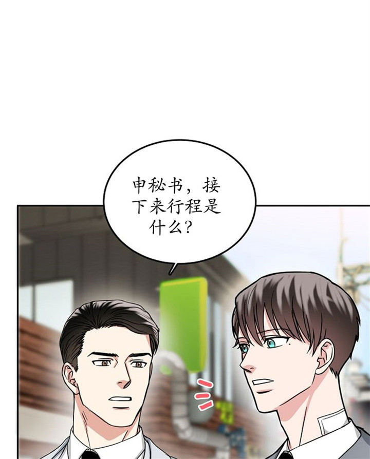 总裁秘书不好惹免费全集漫画,第13话2图