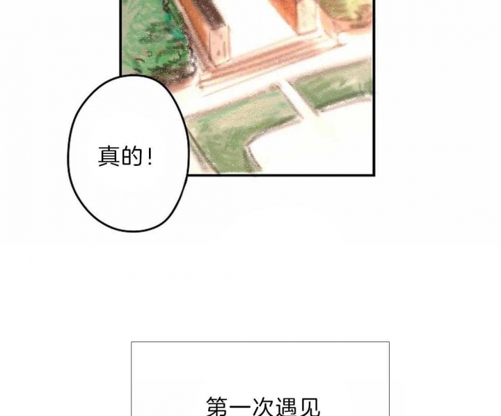 开心的肖像(第I+II季) 漫画,第9话1图