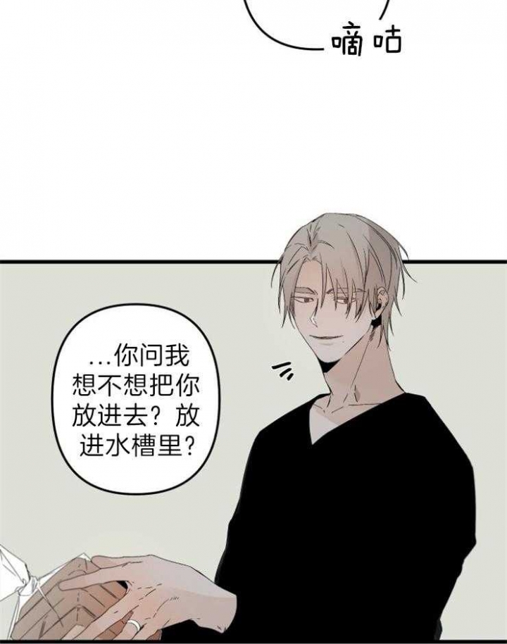 臣服关系（第I+II 季)漫画,第156话1图