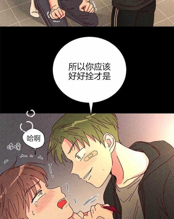 理事的甜点漫画,第54话1图