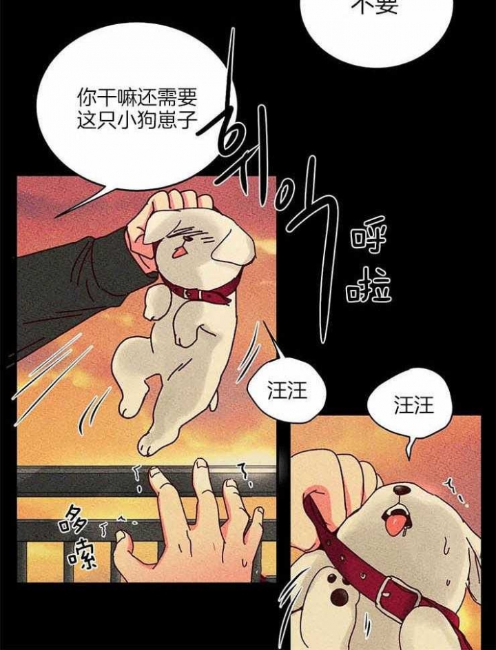 理事的甜点结漫画,第54话2图