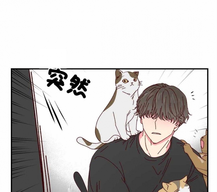 理事的甜点漫画在线观看漫画,第41话1图