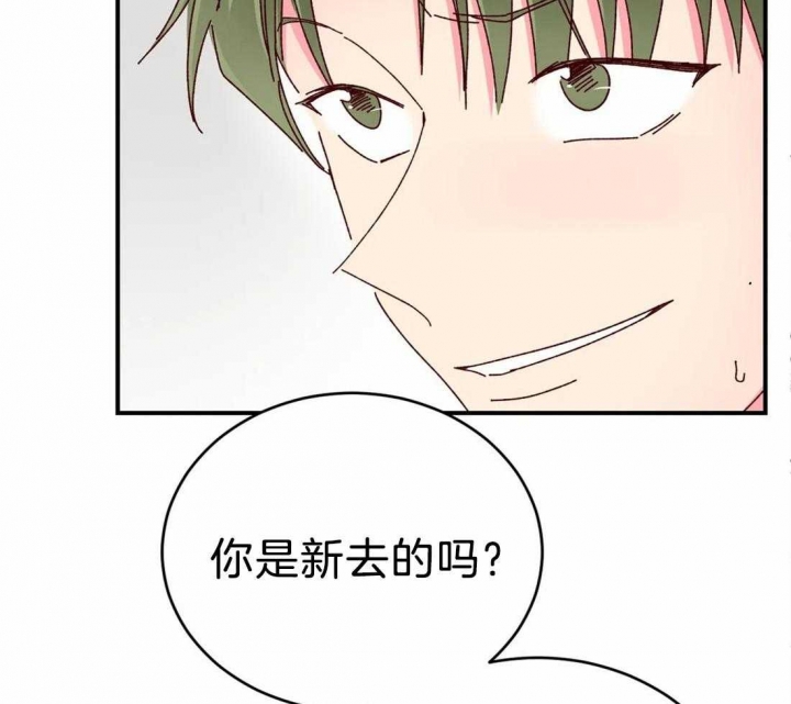 理事的甜点别名漫画,第74话1图