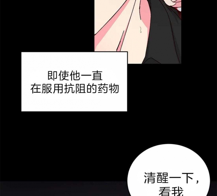 理事的甜点图片漫画,第63话2图