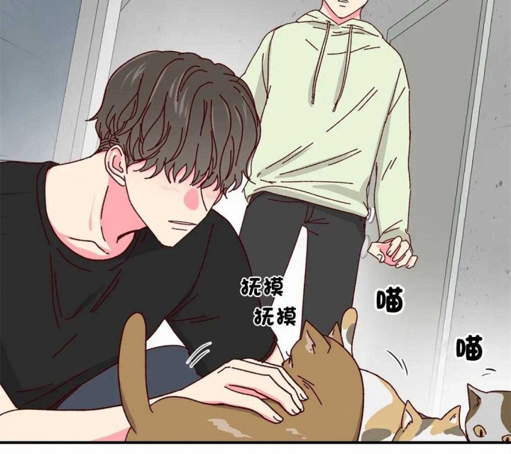 理事的甜点漫画,第40话2图