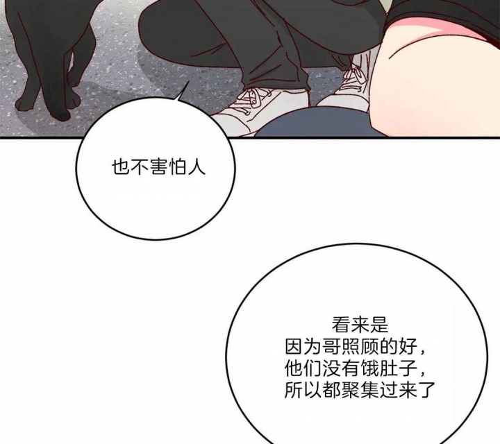 理事的甜点漫画,第40话2图
