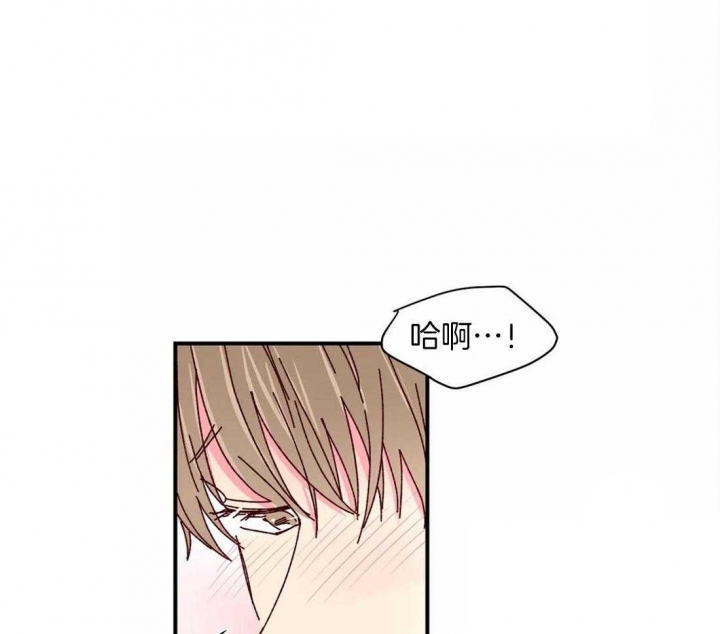 理事的甜点别名漫画,第67话2图