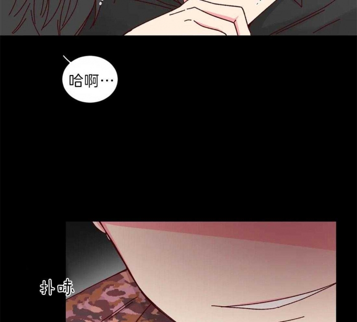 理事的甜点类似的小说有哪些漫画,第63话2图