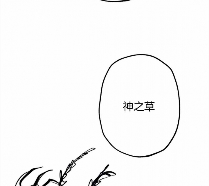 轻易拯救法漫画在线观看漫画,第36话1图