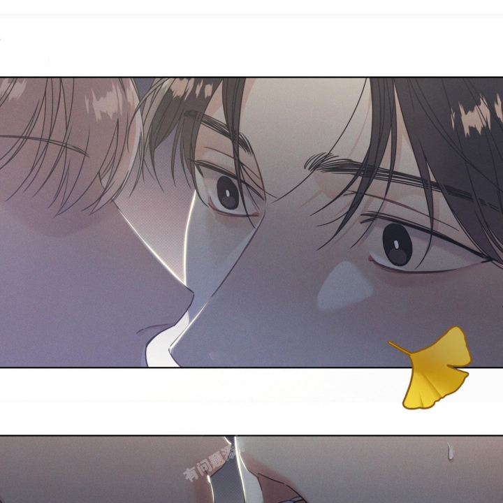 海平面的琴声漫画全集免费下拉式漫画,第12话2图