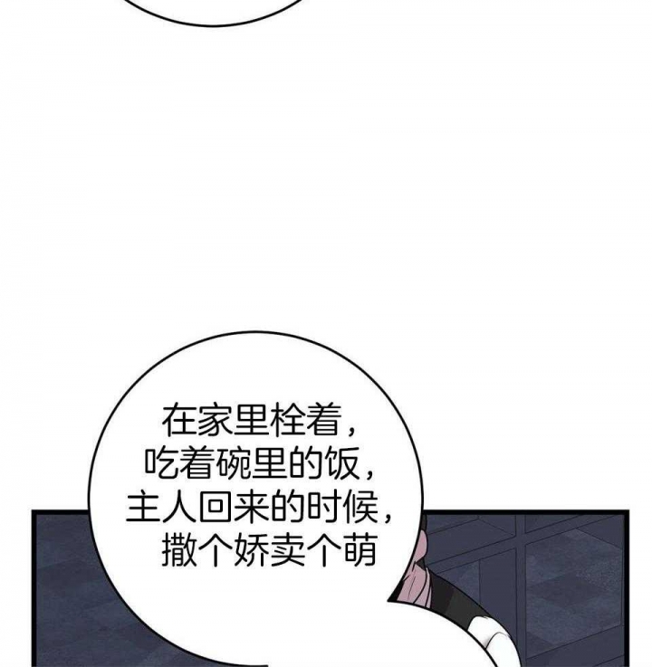 来自深渊完结了吗漫画,第20话2图