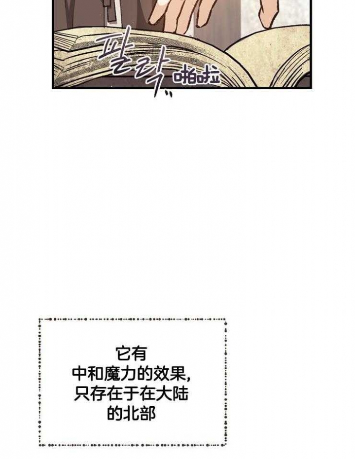 满级法师重回新手村漫画,第24话1图