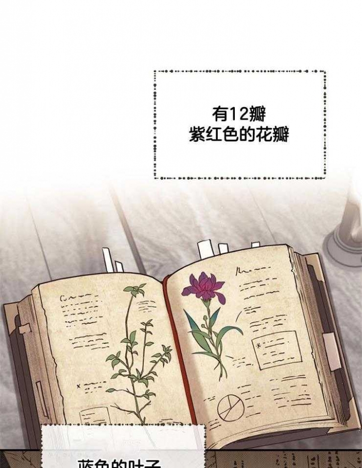 满级法师重回新手村漫画,第24话2图