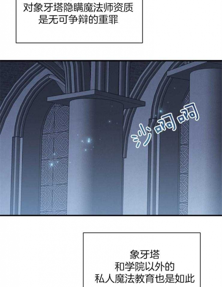 满级法师重回新手村原版漫画,第47话2图