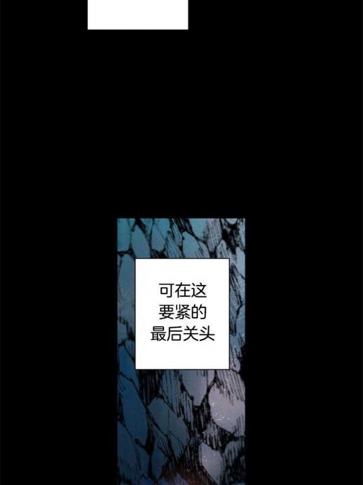 珊瑚是什么动物漫画,第54话1图