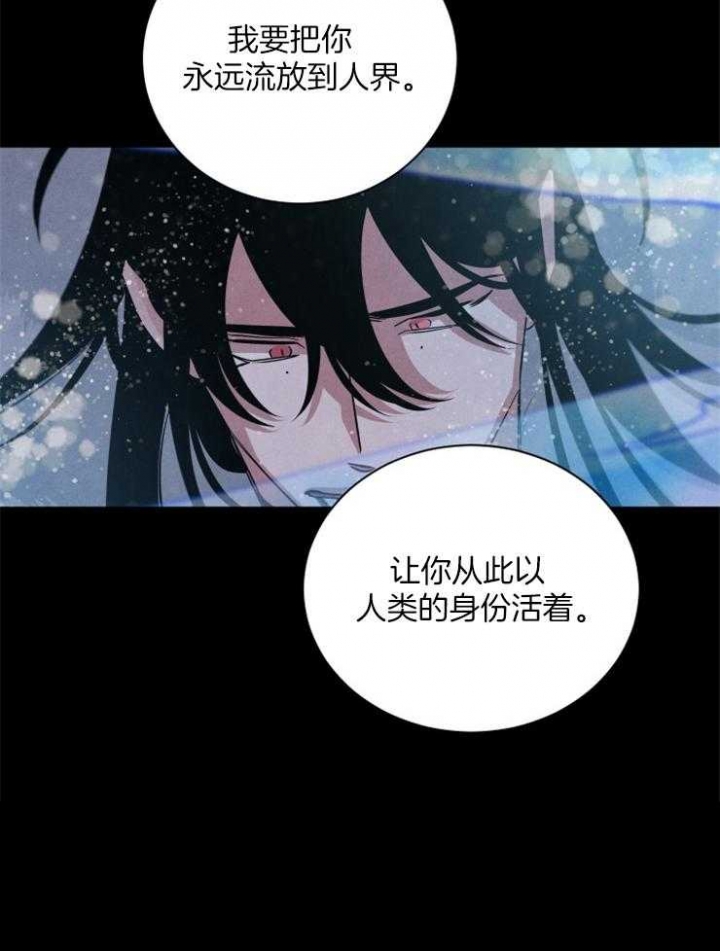 珊瑚世纪雅园漫画,第65话2图