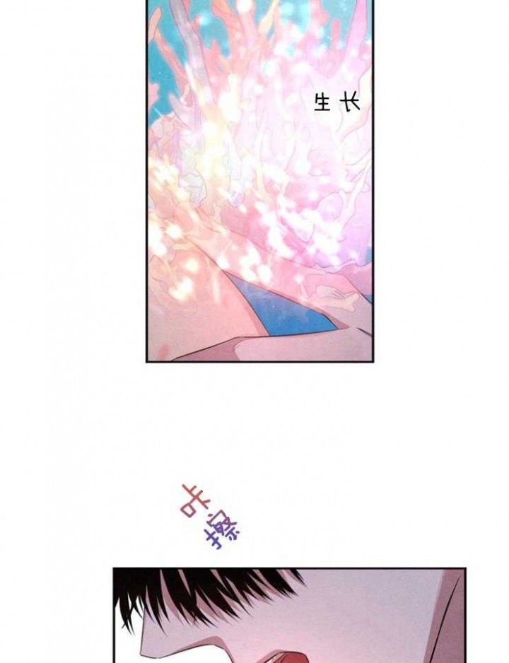 珊瑚视频漫画,第68话2图