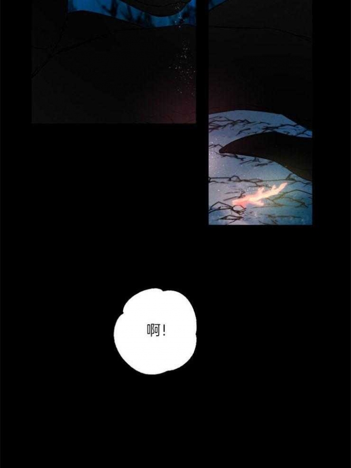 珊瑚捕食浮游生物是什么漫画,第54话1图