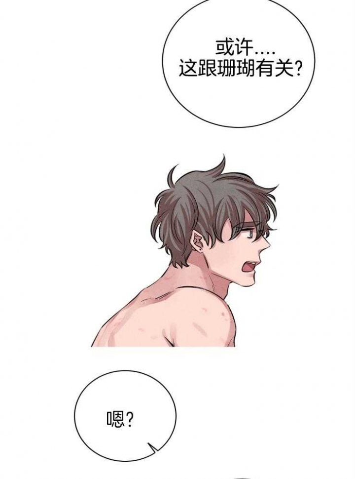 珊瑚食者无删减版漫画,第36话1图