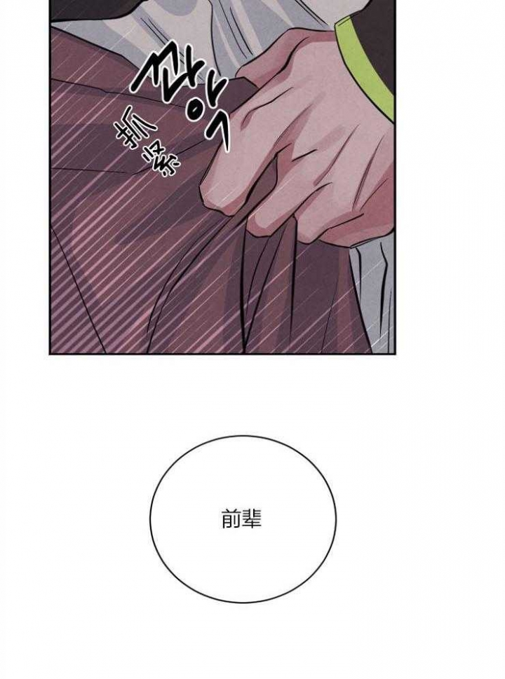 珊瑚食者免费全集下拉漫画,第49话1图