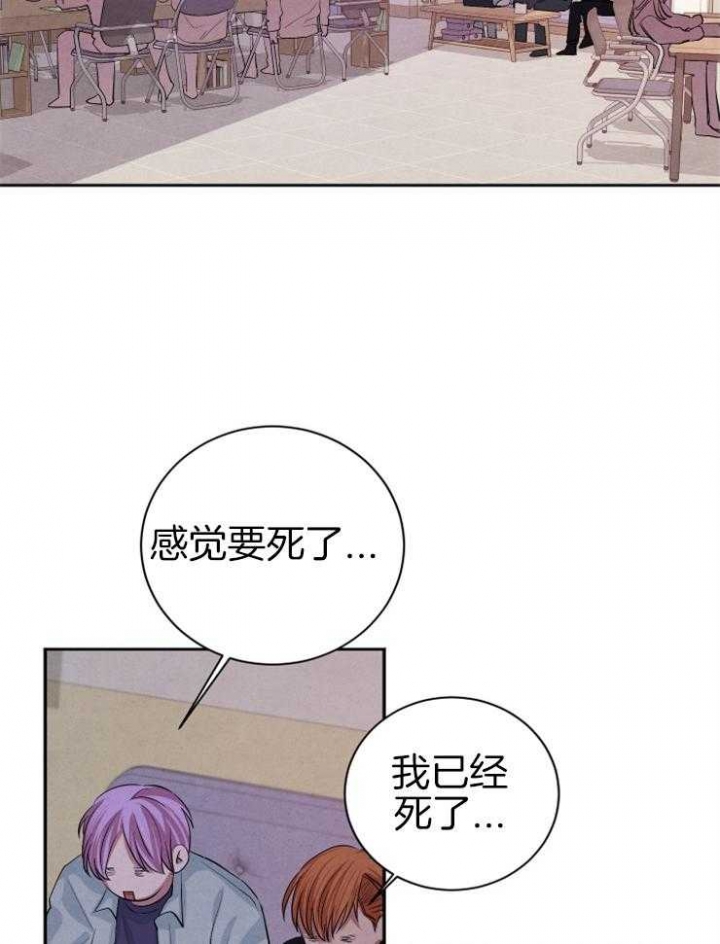 珊瑚是什么动物漫画,第42话1图