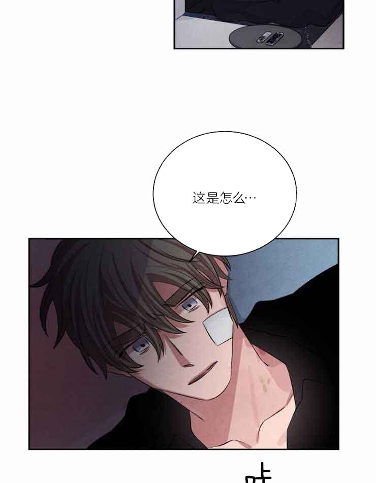 珊瑚食者番木瓜漫画,第81话1图