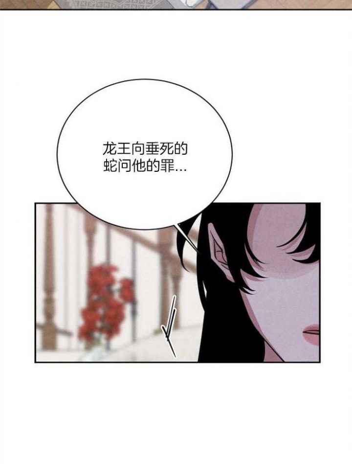 珊瑚石和珊瑚化石怎么区分漫画,第56话2图