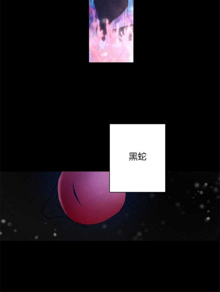 珊瑚食者免费全集漫画,第55话2图