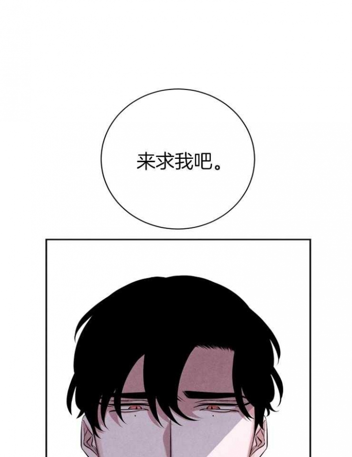 珊瑚食者免费全集漫画,第40话1图