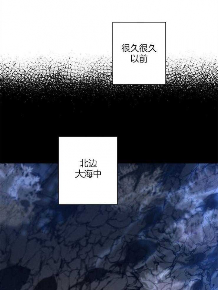 珊瑚石的功效与作用漫画,第54话1图