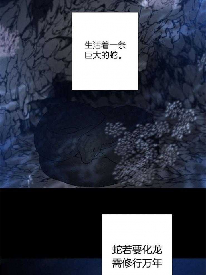 珊瑚捕食浮游生物是什么漫画,第54话2图