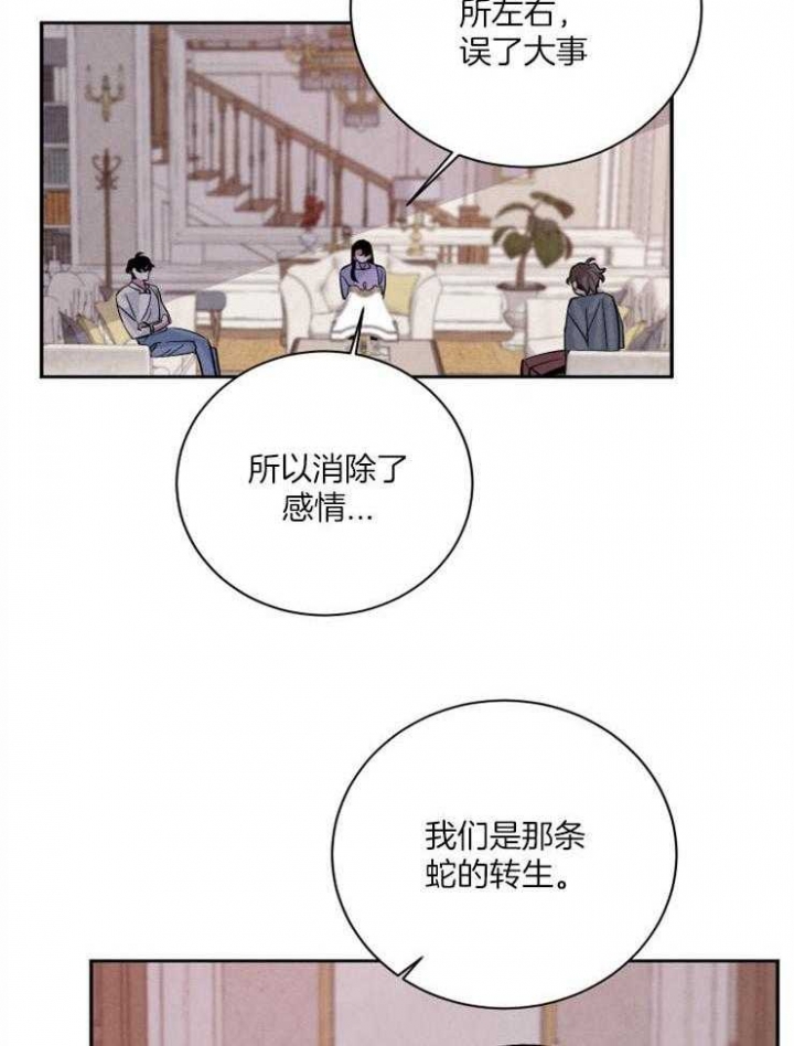 珊瑚是什么动物漫画,第56话2图