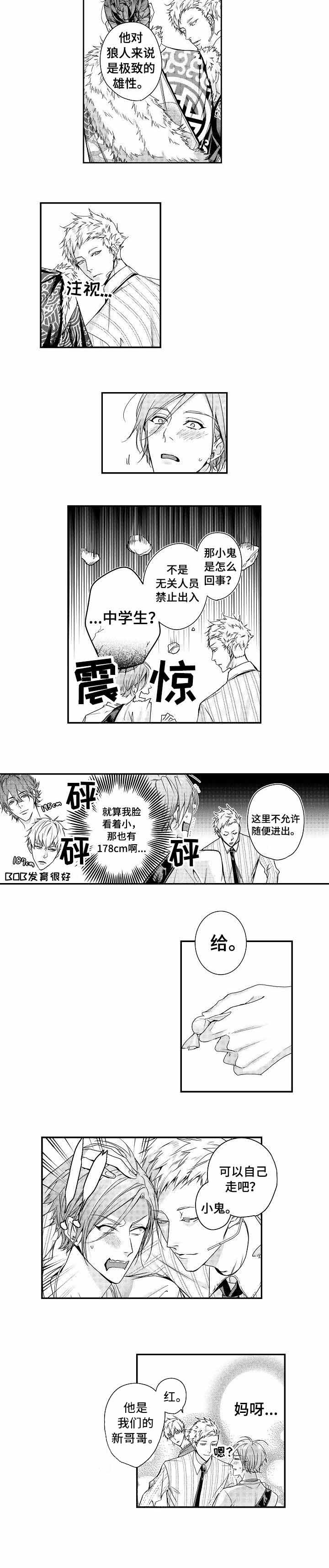 类人猿行动简介漫画,第13话1图