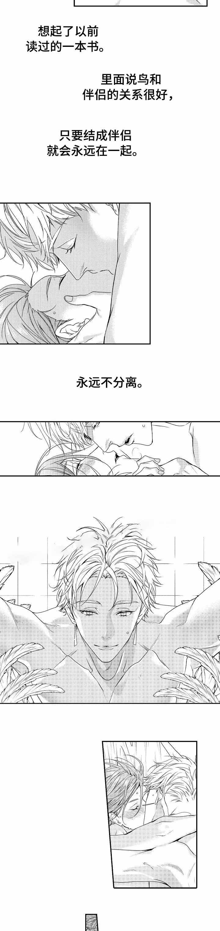 类人猿行动电影高清免费观看漫画,第21话1图