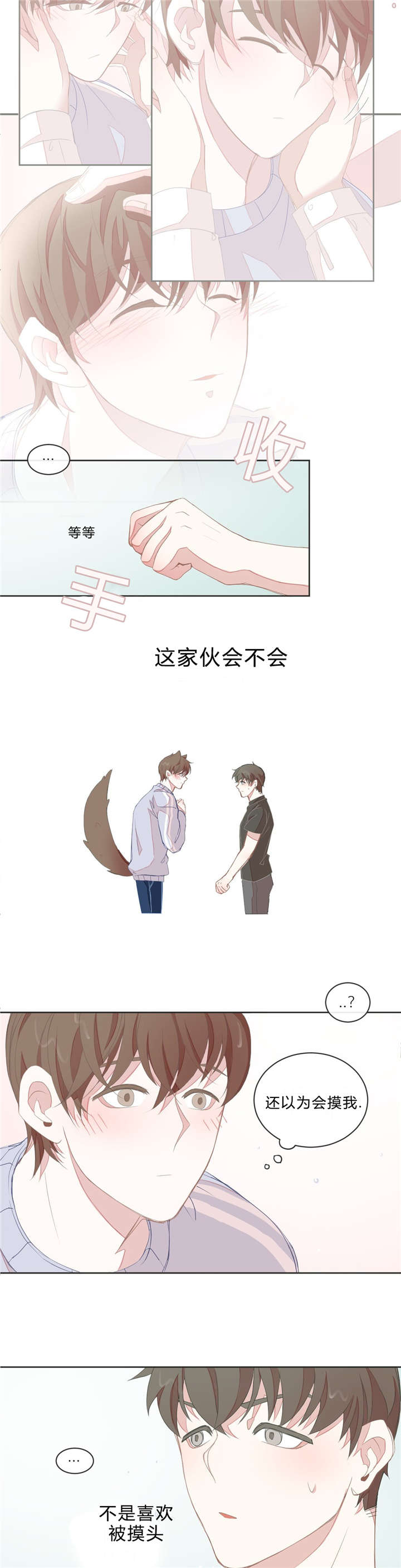 星和东家/ 星之恋/BL宾馆漫画,第11话2图