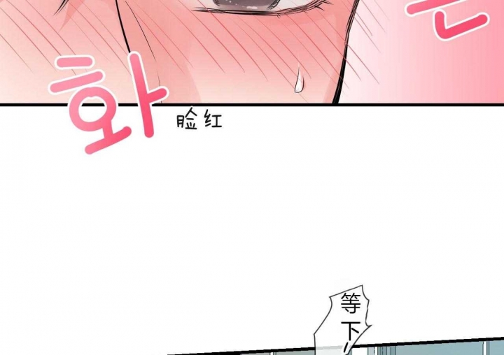 追爱演练记漫画免费观看全集漫画,第70话2图