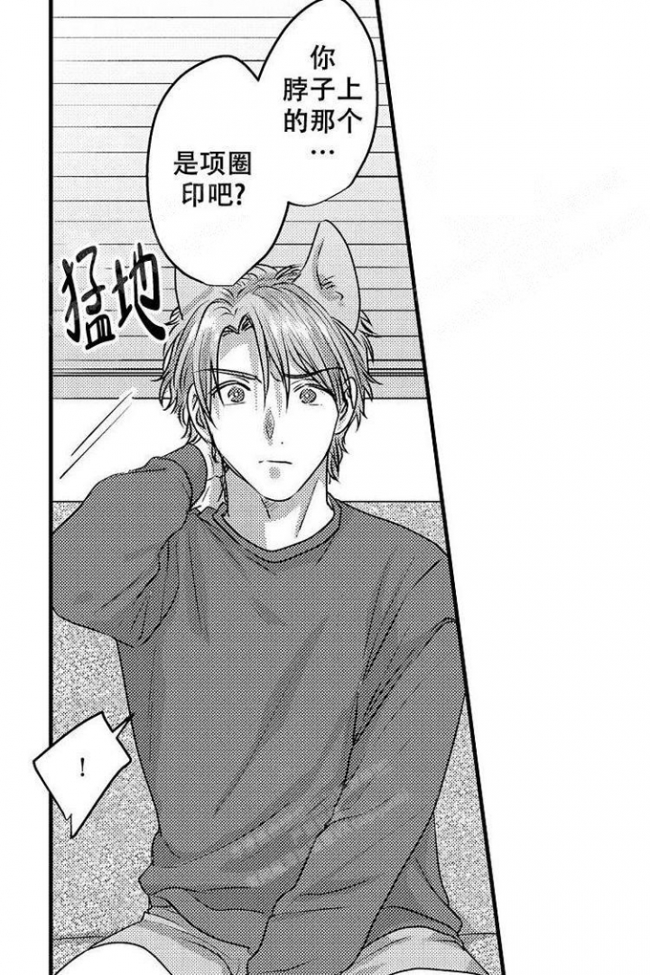 小野狗成长记漫画,第6话2图