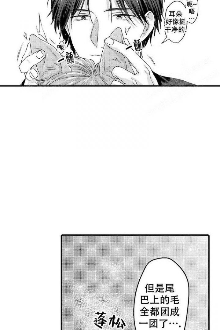 小野狗成长记漫画,第5话2图