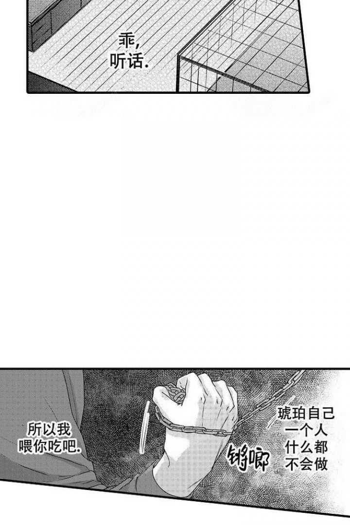 小野狗成长记漫画,第6话1图