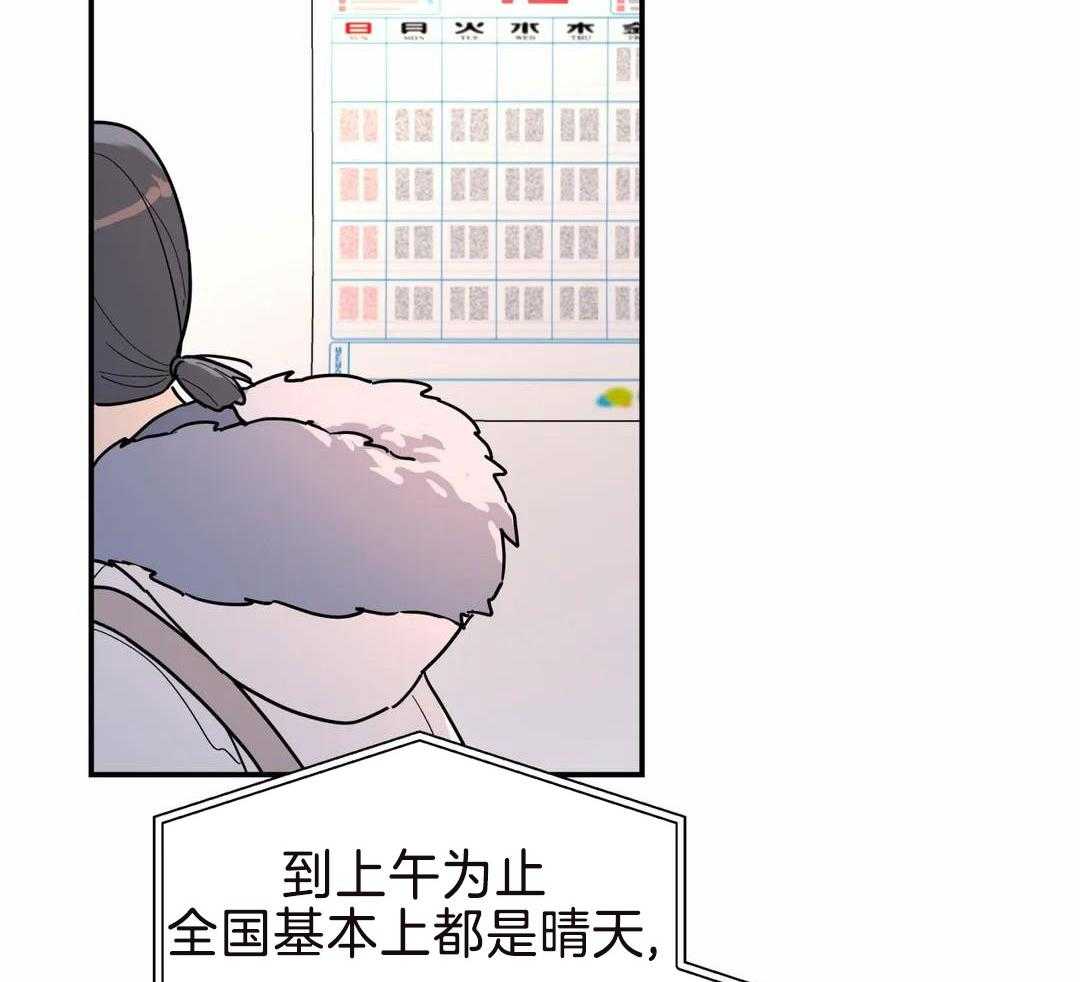 无根之树免费观看漫画,第17话2图